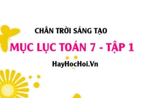 Mục lục SGK Toán 7 tập 1 Chân trời sáng tạo - Lý thuyết và bài tập Toán 7 tập 1 Chân trời sáng tạo